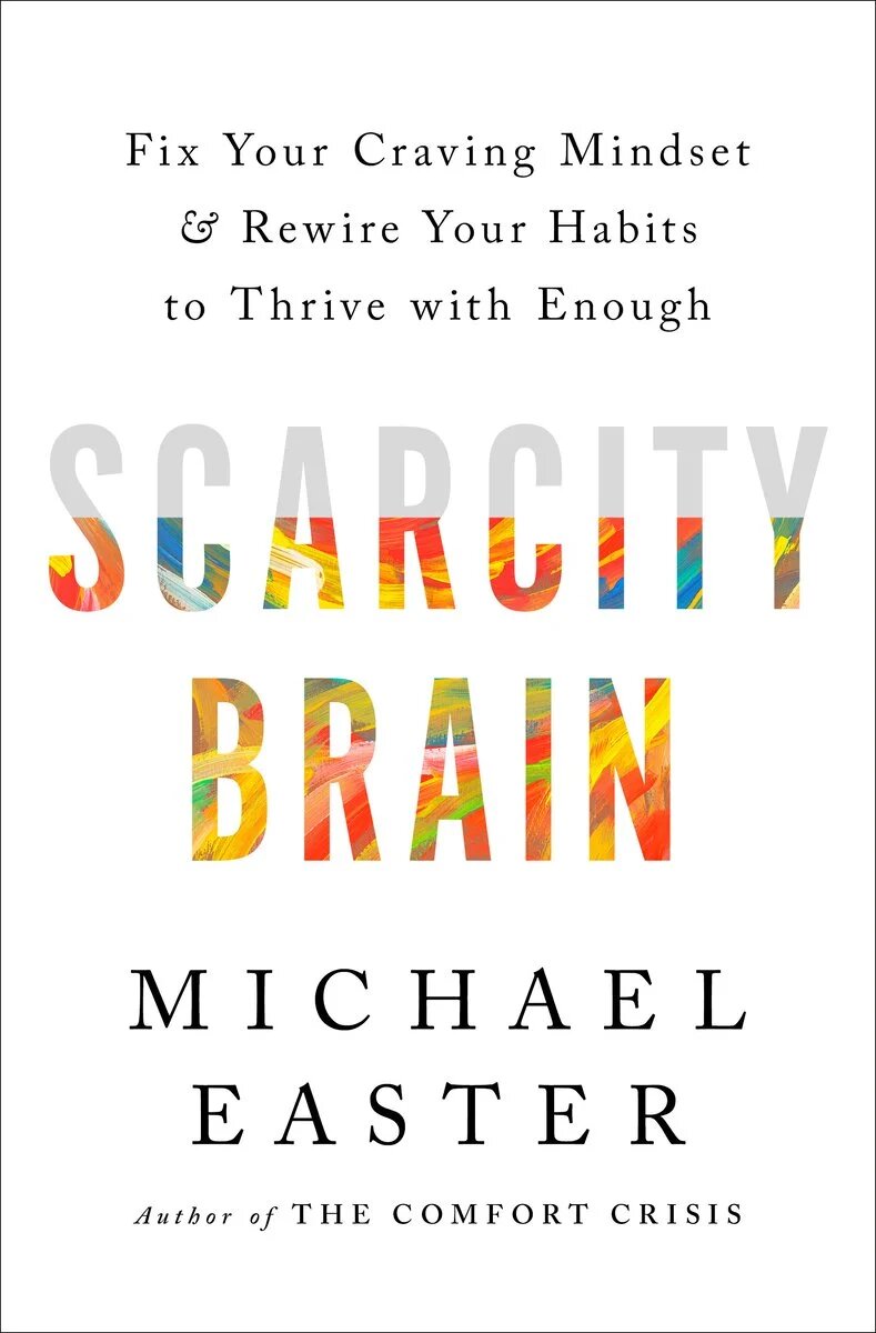 Scarcity Brain book cover